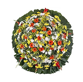 Coroa de flores morumbi